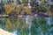 A flock of pigeons in flight over still simmering green lake water surrounded by lush green and autumn colored trees