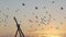 A flock of pigeons fly up on a lake bank at sunset in slo-mo