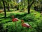 Flock of pink flamingos in the park