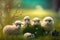 A Flock of Playful Fluffy Sheep Grazing on a Green Spring Meadow