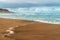 Flock of plover birds on the beach, stormy ocean, and beautiful cloudy sky