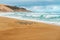 Flock of plover birds on the beach, and stormy ocean waves background.