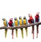 Flock of red and blue yellow macaw purching on dry tree branch i