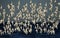 Flock of Sanderlings in flight