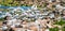 A flock of Sandwich terns resting on a rocky sea shore beach