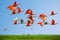 Flock of scarlet and white ibises in flight above green meadow with blue sky background (flying birds)