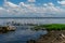 Flock of sea birds seagulls having a rest on a sunny Baltic coast.