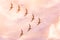 Flock of sea gulls flies in a jamb in the shape of a triangle against the sunset sky of pink shades