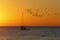 Flock of Seabirds and Sailboat at Sunrise - Florida