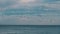 Flock of seagull birds flying over water surface, oil platform and boat