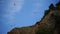 Flock of seagulls in blue sky with clouds sunny day. Over rocks and trees. Natural bird behavior in natural landscape.