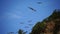 Flock of seagulls in blue sky with clouds sunny day. Over rocks and trees. Natural bird behavior in natural landscape.