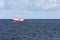 Flock of seagulls chasing a trawler fishing for cod at Andenes