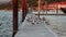 Flock Of Seagulls On Dock Gold Beach Oregon