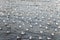 Flock of seagulls floating on the sea