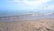 Flock of seagulls flying at the sea, blue sky, view from sand coast