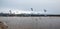 Flock of Seagulls [Laridae] in flight at McGrath state park marsh estuary nature preserve - Santa Clara river - Ventura USA