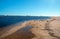 Flock of Seagulls [Laridae] at McGrath state park estuary where the Santa Clara river meets the Pacific at Ventura California USA