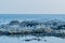 Flock of seagulls roosting on rocky shoreline