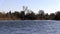 Flock Of Seagulls Taking Flight In Distance American River