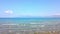 A flock of seagulls taking off from beach, nice sea and waterfowls