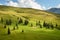 Flock of Sheep on Alpine Pasture