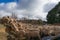 Flock of sheep blocking the countryside road while moving to the new pasture