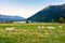 Flock of sheep in a farmland by a lake.