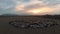 Flock sheep in field grazing at sunset. Livestock agriculture domestic animals pasture. Aerial view rural meadow landscape autumn