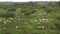 Flock of sheep grazing along the field near to olive trees at Andalusia, Spain