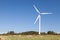 Flock of sheep grazing below a wind turbine in an agricullture