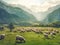 Flock of sheep grazing on green pasture in mountains. Landscape of sheep herd eating grass. Generat