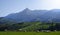 Flock of sheep grazing on mountain meadow, Txindoki,