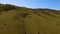 Flock of sheep grazing at mountain valley on sunny day, aerial view, farming