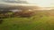 The flock of sheep grazing in the mountains at sunset in Southern Poland