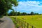 Ð flock of sheep grazing on a roadside pasture England
