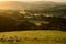 Flock of sheep grazing at sunrise