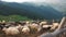 Flock of sheep on green meadow on mountain background.