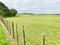 Flock of sheep inside the wooden fence grazes on the grass.