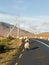 Flock of sheep on a road in Ireland