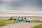 Flock of sheep sleeps by beautiful Keem bay, Achill island, county Mayo, Ireland