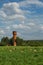 A flock of sheep on summer grazing.