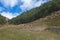 Flock of sheep in transhumance on a meadow of an alpine valley