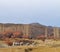 Flock of sheeps grazin at Patagonian Landscape