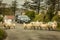 Flock of sheeps interrupting the traffic. Ireland