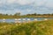 Flock of sheeps wandering about in a nature reserve