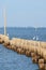 A flock of shorebirds perching on a concrete breakwater into the sea