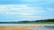 A flock of small white gulls sits and stands on a stone ledge of the Bank of the Northern river vilyu in Yakutia.