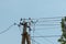 Flock of song thrushes sitting on post against clear sky