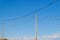 A flock of starlings sitting on wires